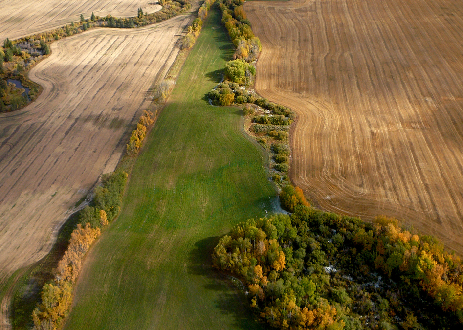 farmland